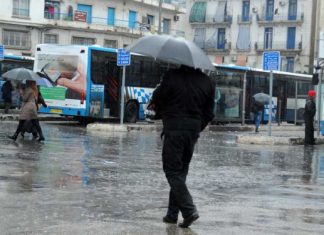 Algérie: pluies sur plusieurs wilayas du nord du pays, dimanche et lundi