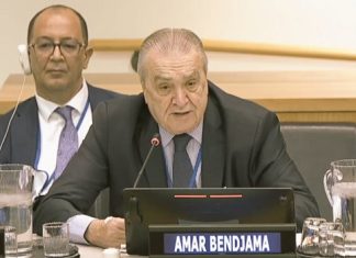 Amar Bendjama: mettre en œuvre la résolution sur la revitalisation des travaux de l’AG de l’ONU