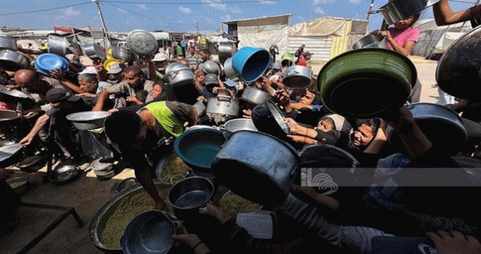 d1a87bf0d8743fdd00787360ac7a42b2_M