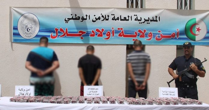 545141764_1237701388402202_1756361354604341113_n