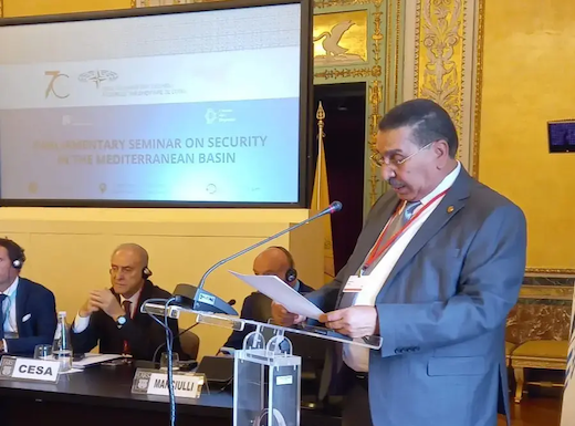 Le Conseil de la nation prend part au Forum de l’AP-OTAN en Italie