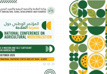 Conférence nationale sur la modernisation de l’agriculture: le ministre table sur 40 qtx de blé par hectare d’ici les 5 prochaines années