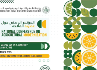 Conférence nationale sur la modernisation de l’agriculture: le ministre table sur 40 qtx de blé par hectare d’ici les 5 prochaines années