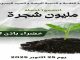Tizi Ouzou: Lancement de la campagne nationale de plantation d’un million d’arbres
