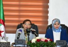 Krikou prend part à la 36e session du Conseil des ministres arabes chargés des affaires environnementales