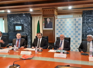 L’Algérie et sept autres pays décident de suspendre la hausse de leur production pétrolière durant le 1er trimestre 2026